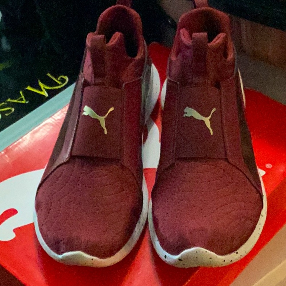 Puma krm